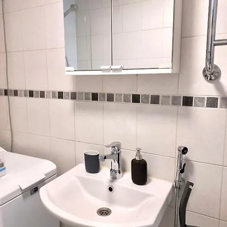 Scandinavian Heart Of The Tyoemiehenkatu Apartament *