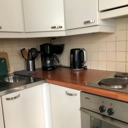 Scandinavian Heart Of The Tyoemiehenkatu Apartament *