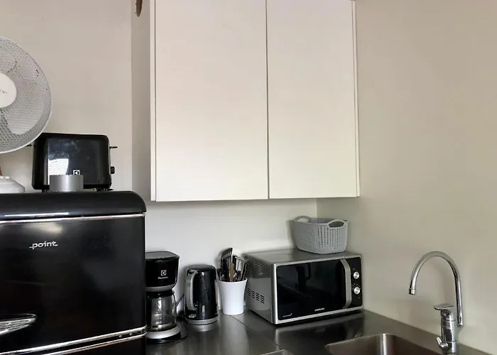 Scandinavian Heart Of The Tyoemiehenkatu Apartamento Helsinki